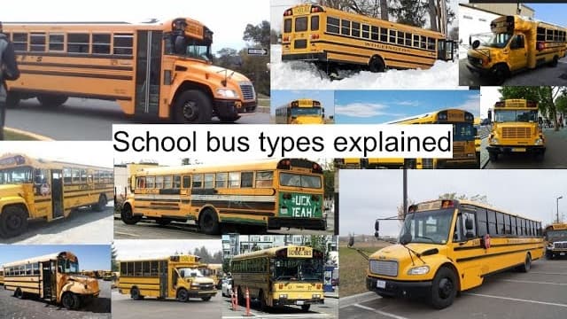types of school buses