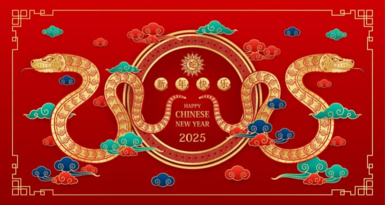 Xiamen Van Seat Spring Festival Holiday Notice